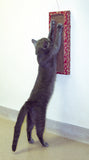 Placa pentru zgariat, de perete CAT DANCER